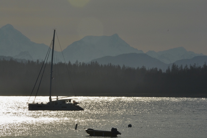 boats on Bartlett's Cove